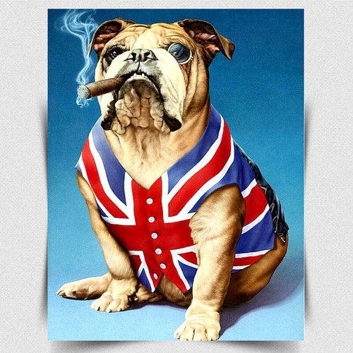 British bulldog union jack - british,