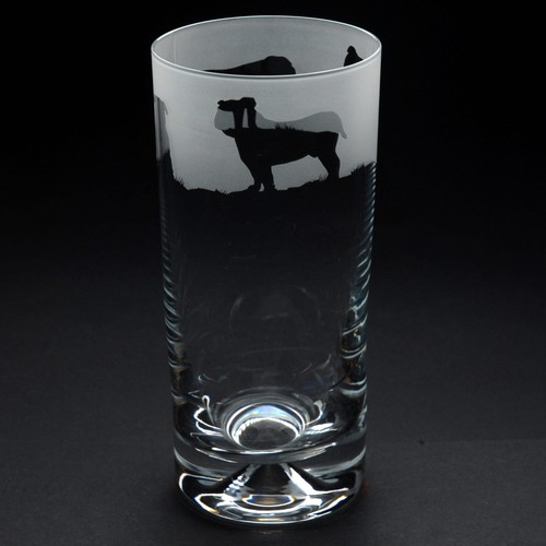 Vetro highball cane bulldog - highball,
