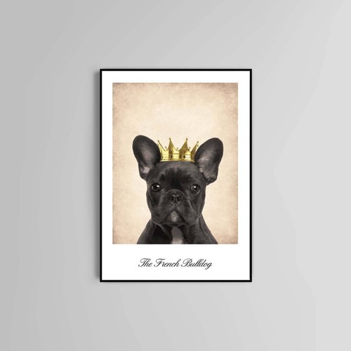 Poster bulldog francese - poster, stampa