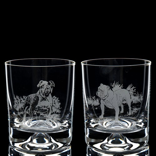 Bicchiere whisky cane - whisky,